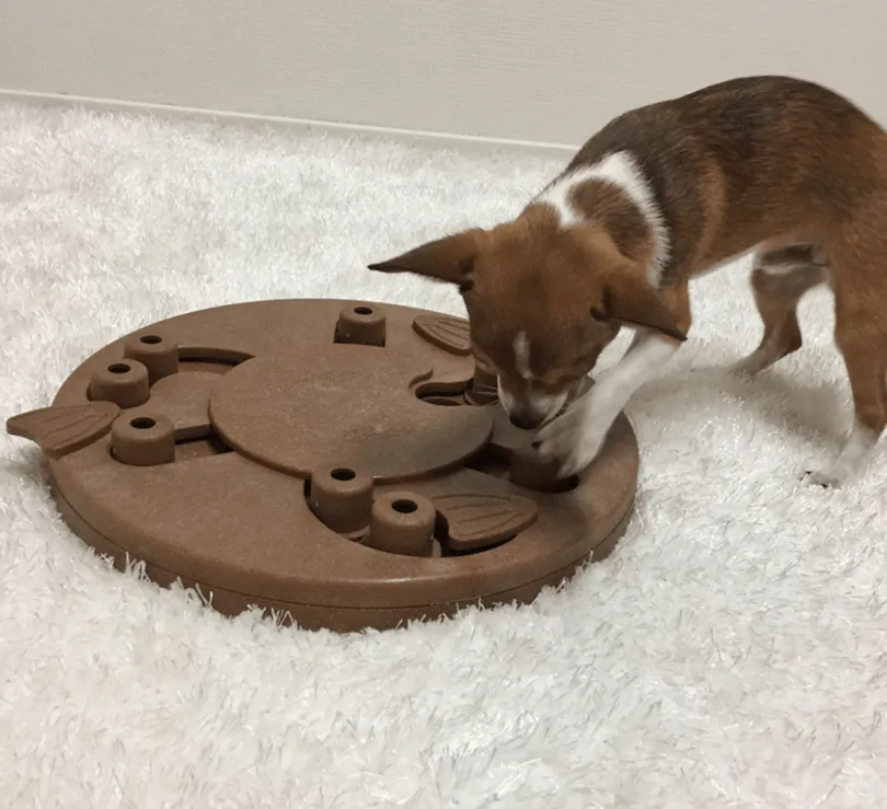 Nina Ottosson Puzzle Worker Composite Nivel 3 para Perros