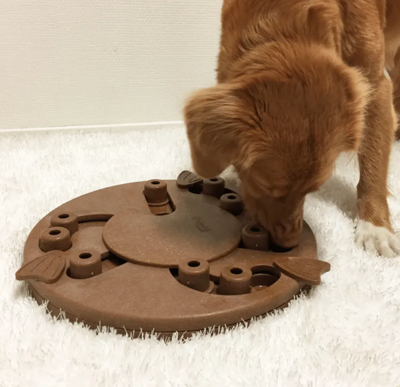 Nina Ottosson Puzzle Worker Composite Nivel 3 para Perros
