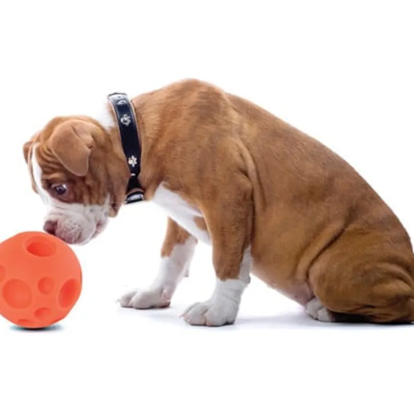 Omega Paw Pelota para Golosinas Small