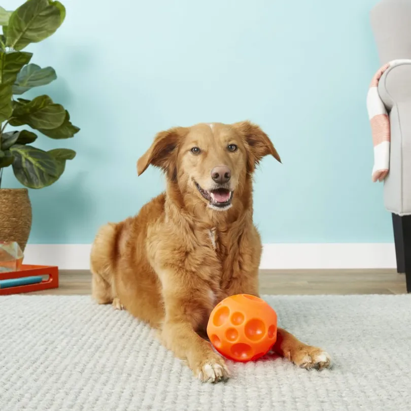 Omega Paw Pelota para Golosinas Small