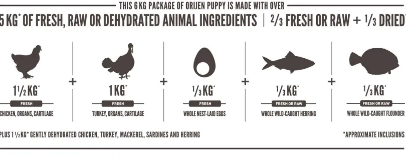 Orijen Dog Puppy 2kg
