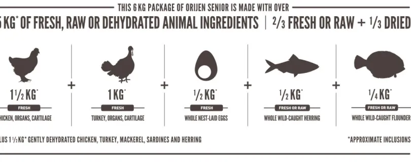 Orijen Dog Senior 10.6kg