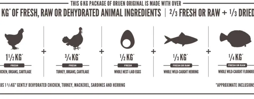 Orijen Original 10.6kg