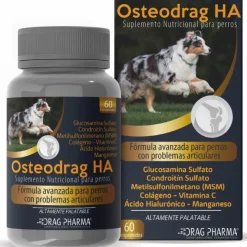 Osteodrag HA 60 comprimidos