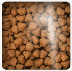 Oven Baked Cat Grain Free Duck 4.54kg