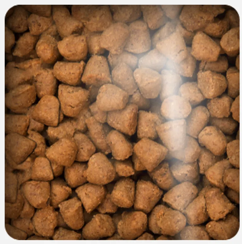 Oven Baked Cat Grain Free Chicken 2.27kg