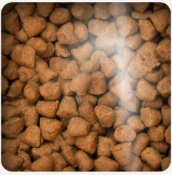 Oven Baked Cat Traditional Kitten Chicken 2.27kg