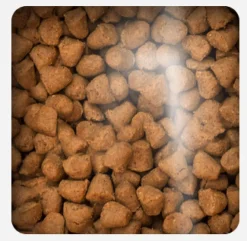 Oven Baked Cat Traditional Senior and Light Chicken 4.54kg