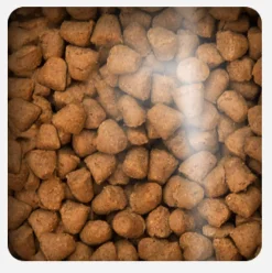 Oven Baked Cat Traditional Adult Fish 4.54kg