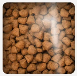 Oven Baked Cat Traditional Adult Chicken 4.54kg