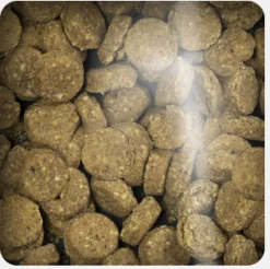 Oven Baked Dog Grain Free Chicken Pumpkin Treats 227gr