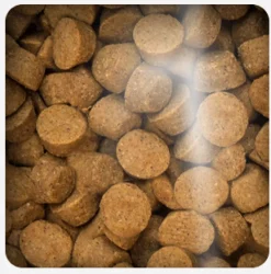 Oven Baked Dog Grain Free Duck All Breed 10.43kg