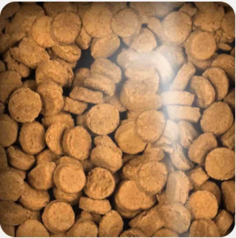 Oven Baked Dog Liver Treats 227gr