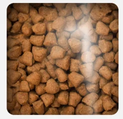 Oven Baked Dog Traditional Adult Fish Small Breed 2.27kg
