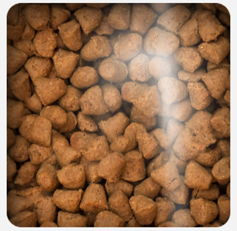 Oven Baked Dog Traditional Chicken Adult Small Breed 5.67kg
