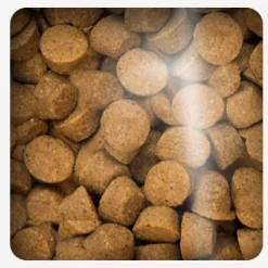 Oven Baked Dog Traditional Chicken Adult All Breed 11.34kg
