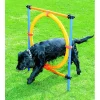 Pawise Agility Aro