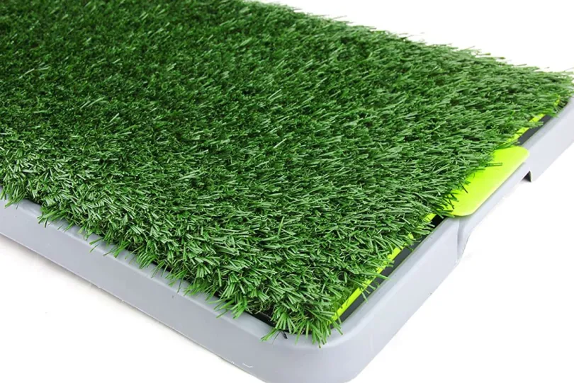 Pawise Pasto Sanitario