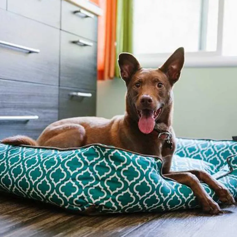 Play Cama Lounge Morrocan Teal