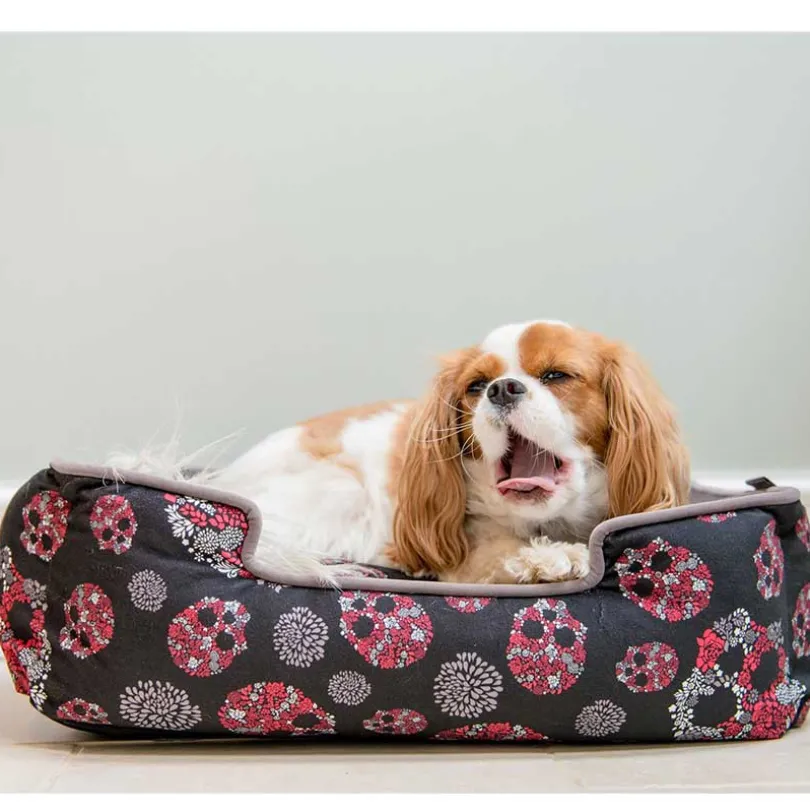 Play Cama Lounge Skull Roses