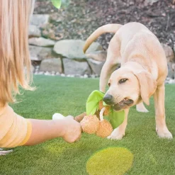 Play Dog Tropical