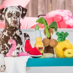 Play Dog Tropical