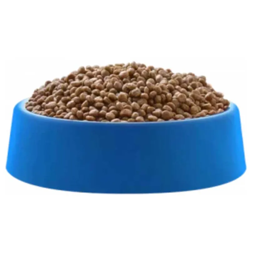Premier Golden Para Gatitos Sabor Pollo y Arroz 10.1kg
