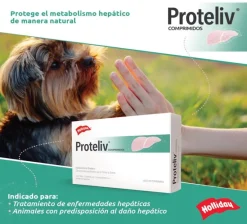 Proteliv 21 Comprimidos