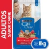 Purina Cat Chow Adultos Carne con Defense Plus 8kg