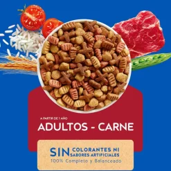 Purina Cat Chow Adultos Carne con Defense Plus 3kg