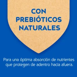 Purina Cat Chow Adultos Esterilizados con Defense Plus 24kg