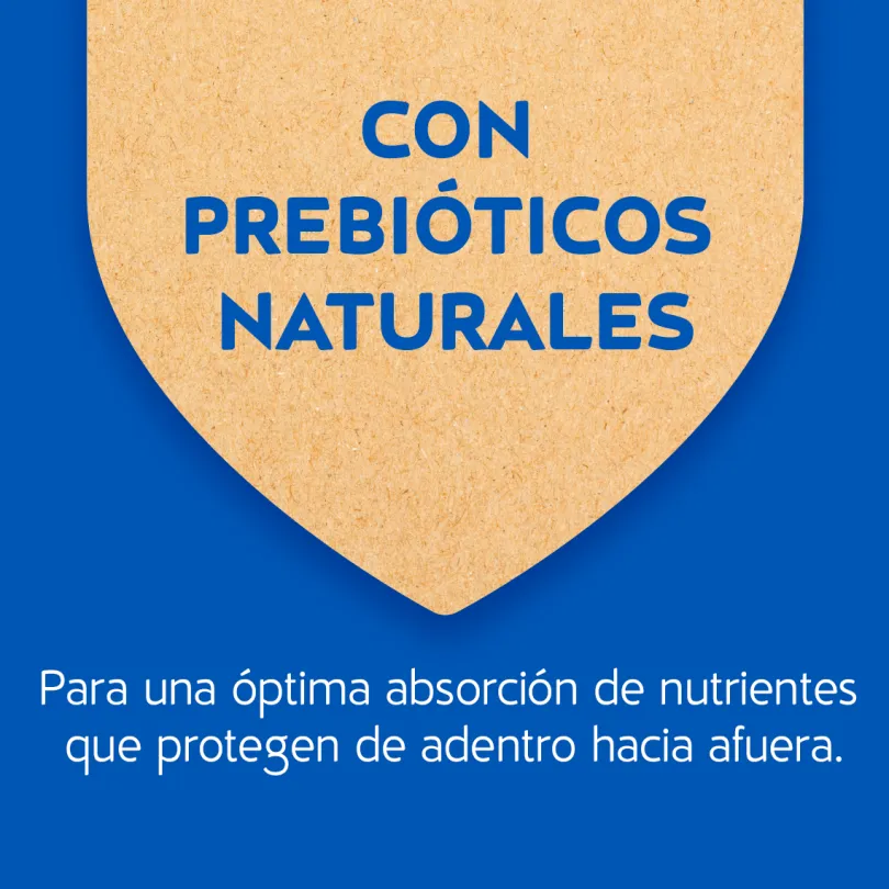 Purina Cat Chow Adultos Esterilizados con Defense Plus 24kg