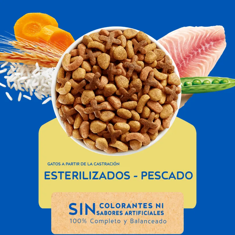 Purina Cat Chow Adultos Esterilizados con Defense Plus 8kg