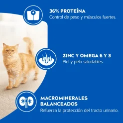 Purina Cat Chow Adultos Esterilizados con Defense Plus 8kg