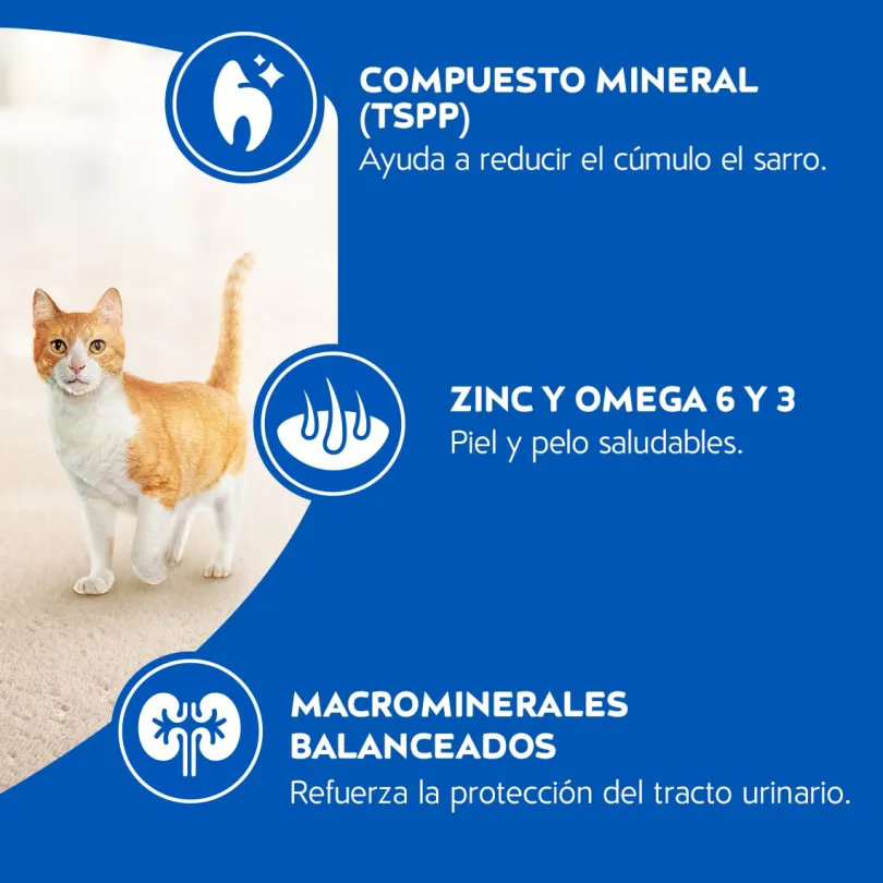 Purina Cat Chow Adultos Pescado con Defense Plus 8kg