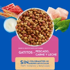 Purina Cat Chow Gatitos 3kg