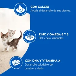 Purina Cat Chow Gatitos 8kg