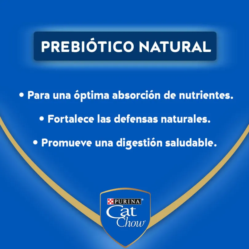 Purina Cat Chow Hydro Adultos Carne 85gr