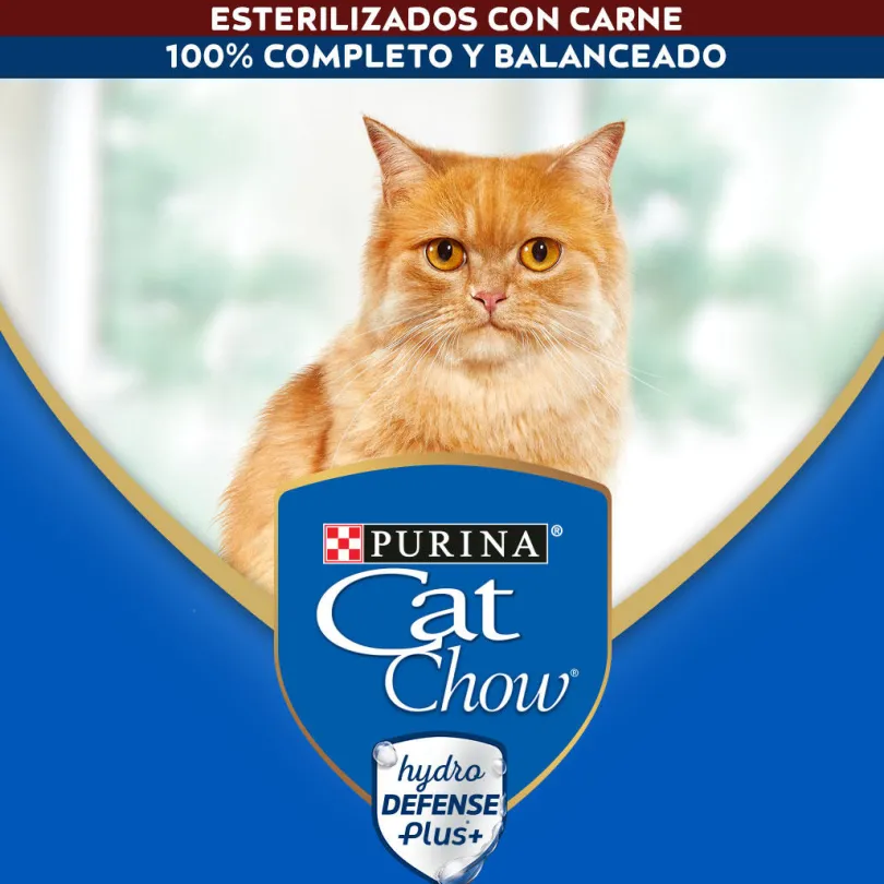 Purina Cat Chow Hydro Castrados Carne 85gr PACK 15 Unidades