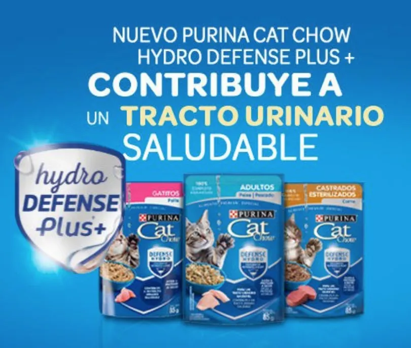 Purina Cat Chow Hydro Gatitos Carne 85gr PACK 15 Unidades