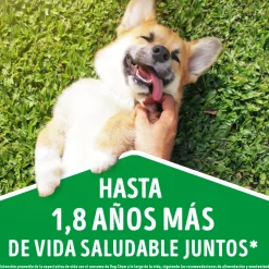 Purina Dog Chow Adultos 7+ Longevidad 18kg