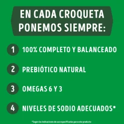 Purina Dog Chow Adultos 7+ Longevidad 18kg