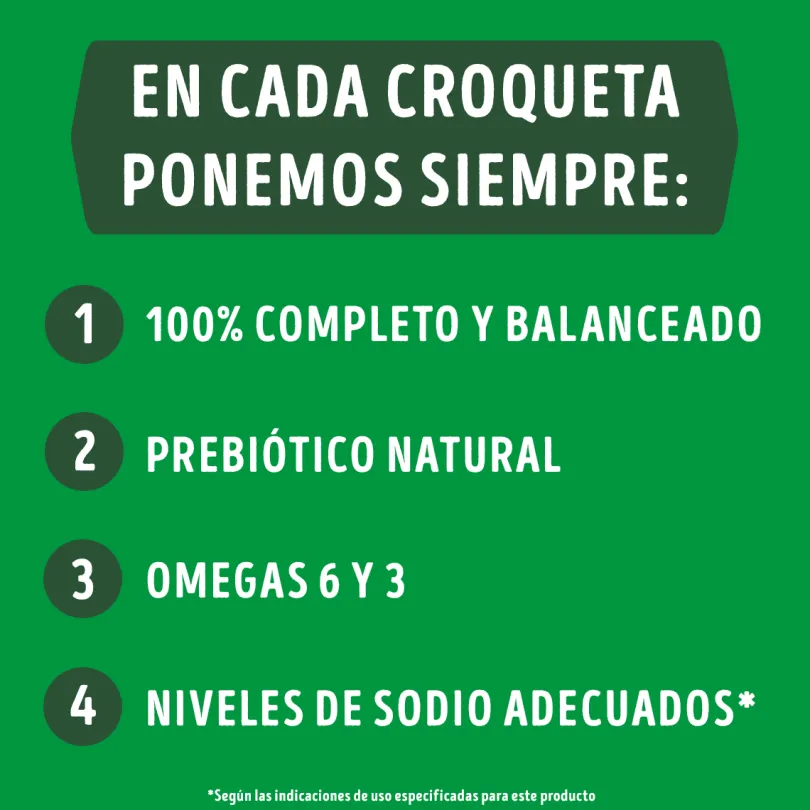 Purina Dog Chow Adultos 7+ Longevidad 18kg