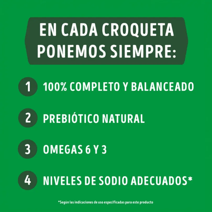 Purina Dog Chow Adultos 7+ Longevidad 8kg