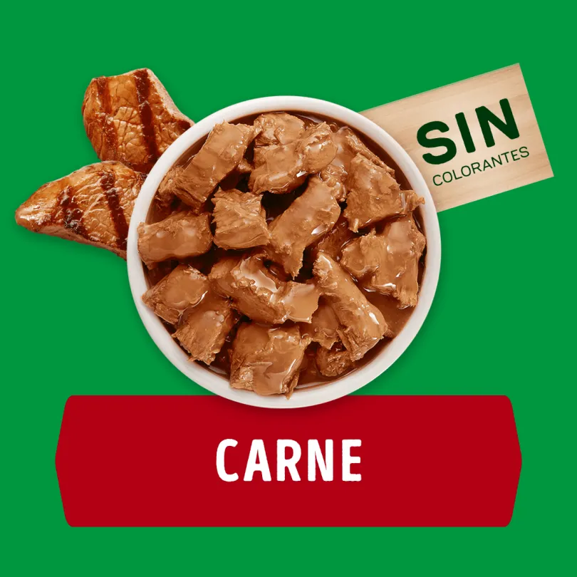 Purina Dog Chow Alimento Húmedo Adulto Carne 100gr