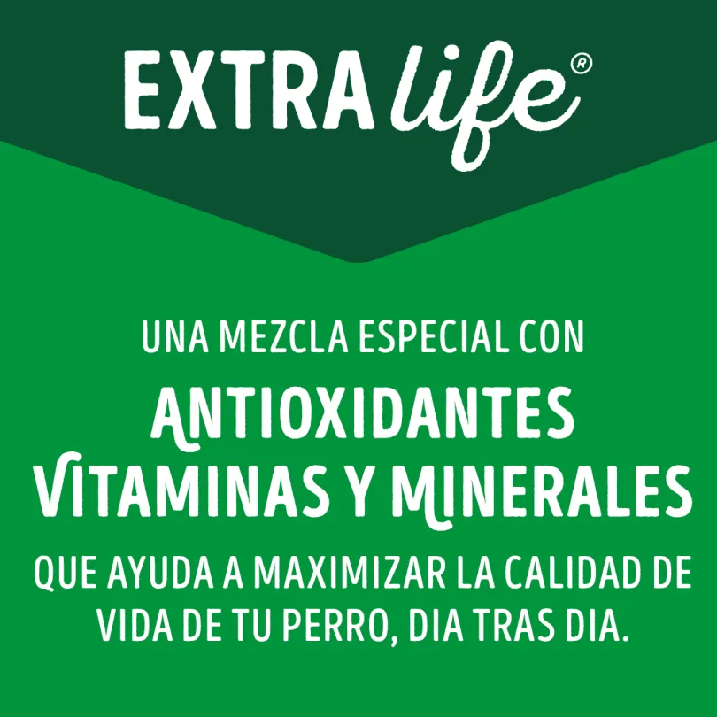Purina Dog Chow Alimento Húmedo Adulto Carne 100gr