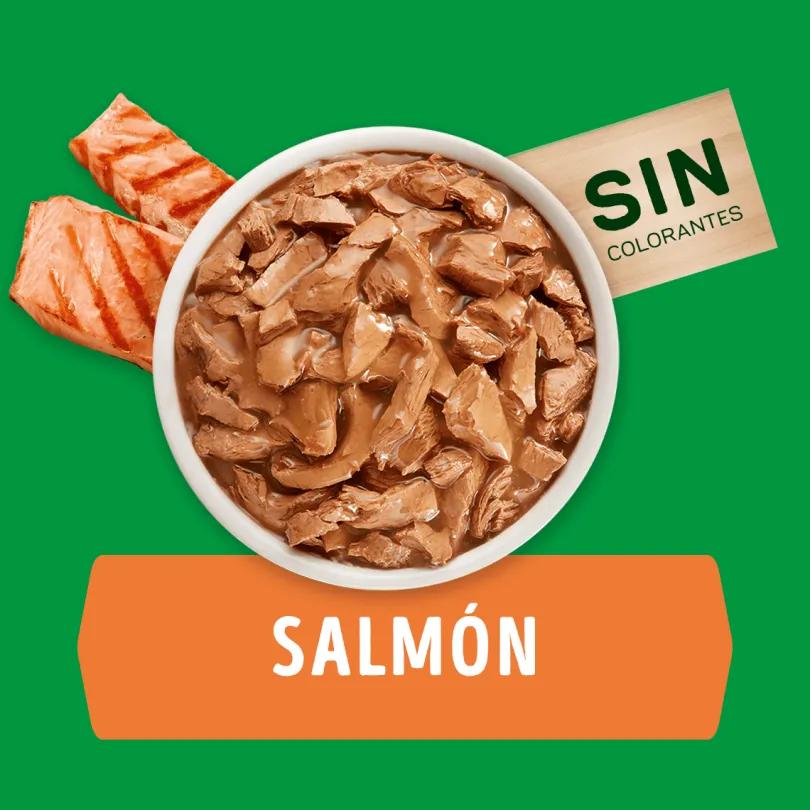 Purina Dog Chow Alimento Húmedo Adulto Razas Pequeñas Salmón 100gr