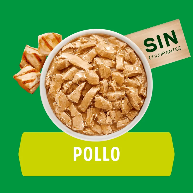 Purina Dog Chow Alimento Húmedo Cachorro Pollo 100gr