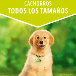 Purina Dog Chow Alimento Húmedo Cachorro Pollo 100gr