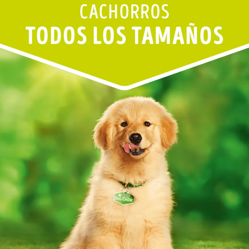 Purina Dog Chow Alimento Húmedo Cachorro Pollo 100gr